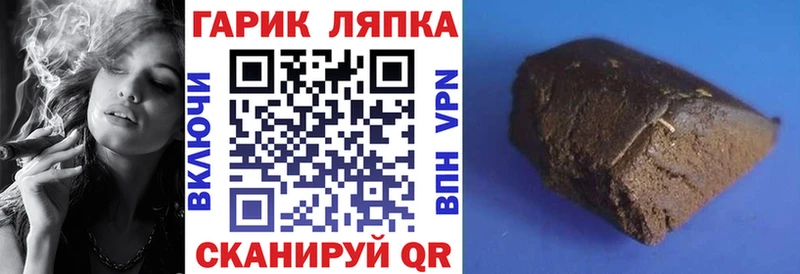 ГАШ гарик  Зубцов 