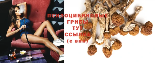 дживик Абинск