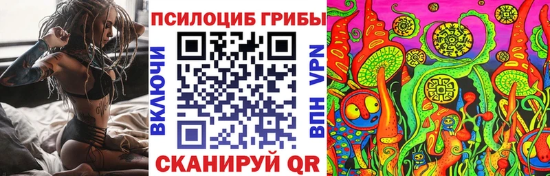 Галлюциногенные грибы GOLDEN TEACHER  Зубцов 